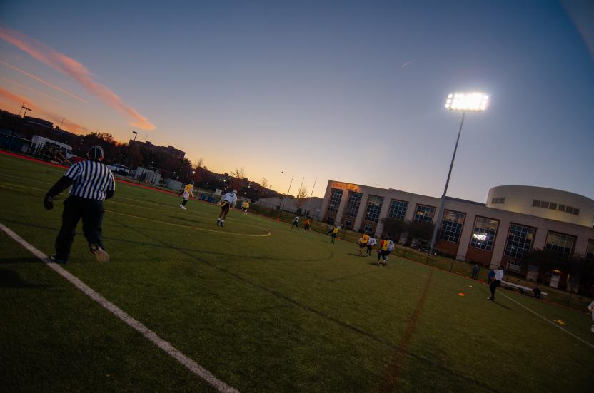 Turf Fields