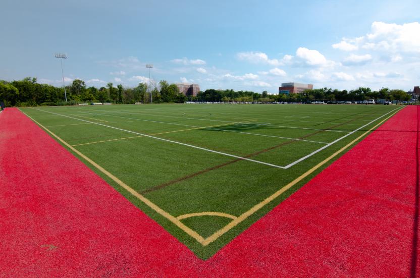 turf