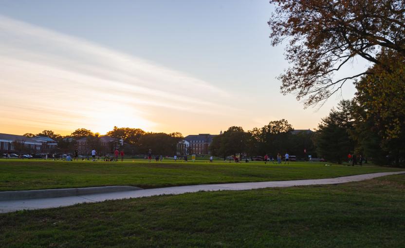 engineering fields