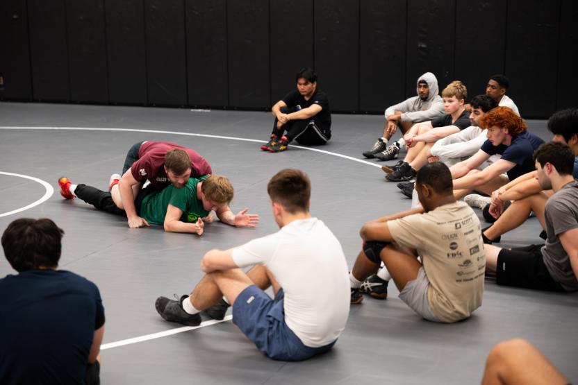 wrestling
