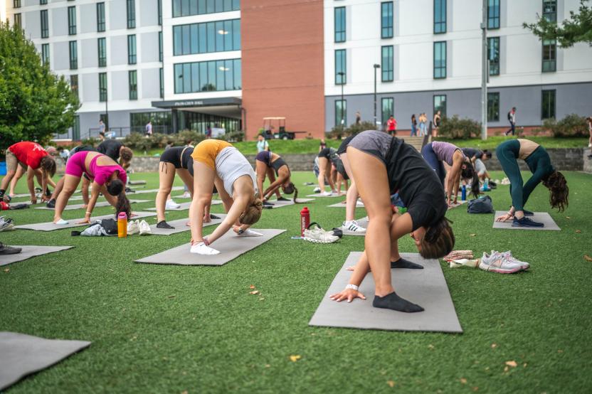participants in a yoga class on a green lawn