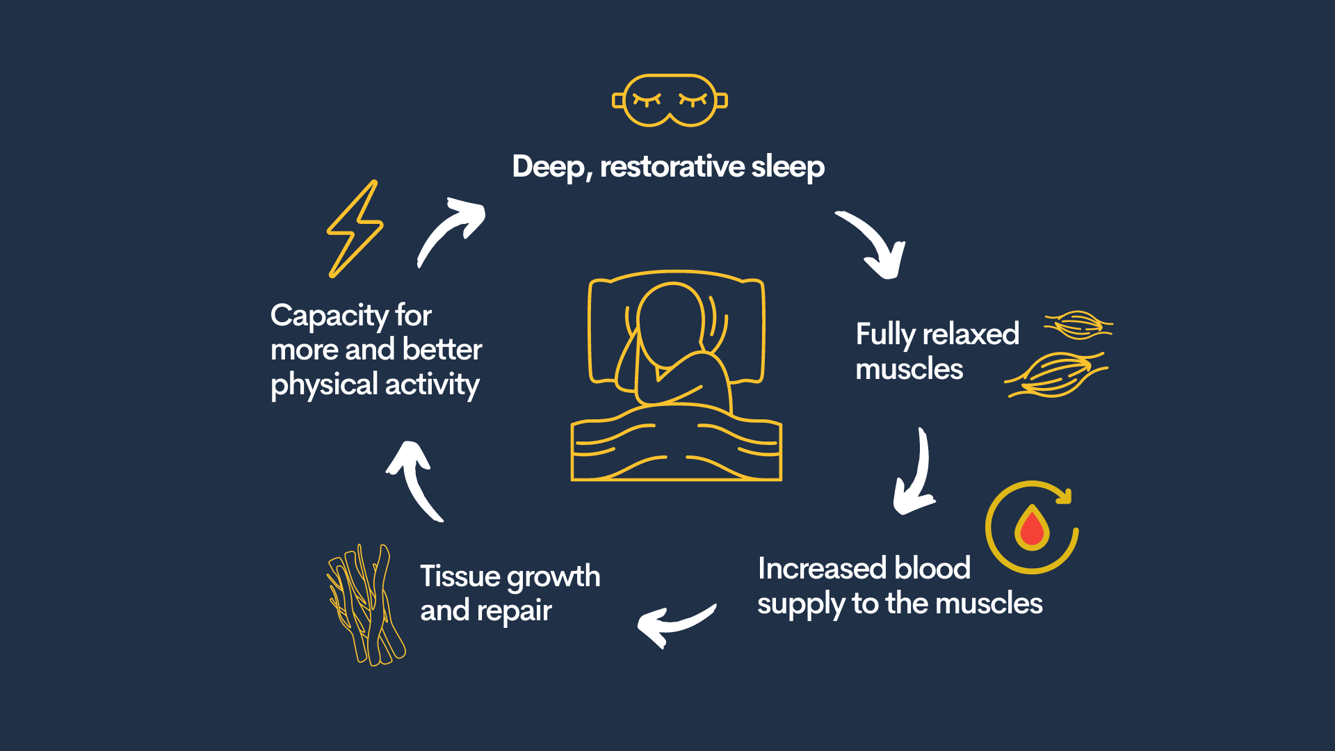 infographic about sleep 