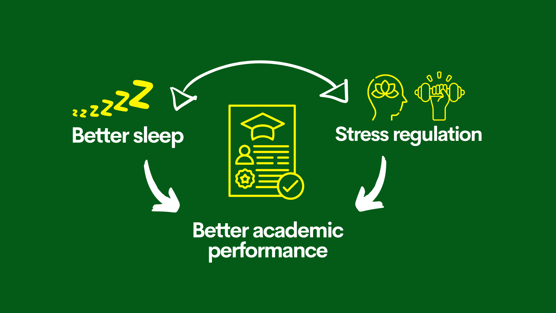 sleep and stress cycle 