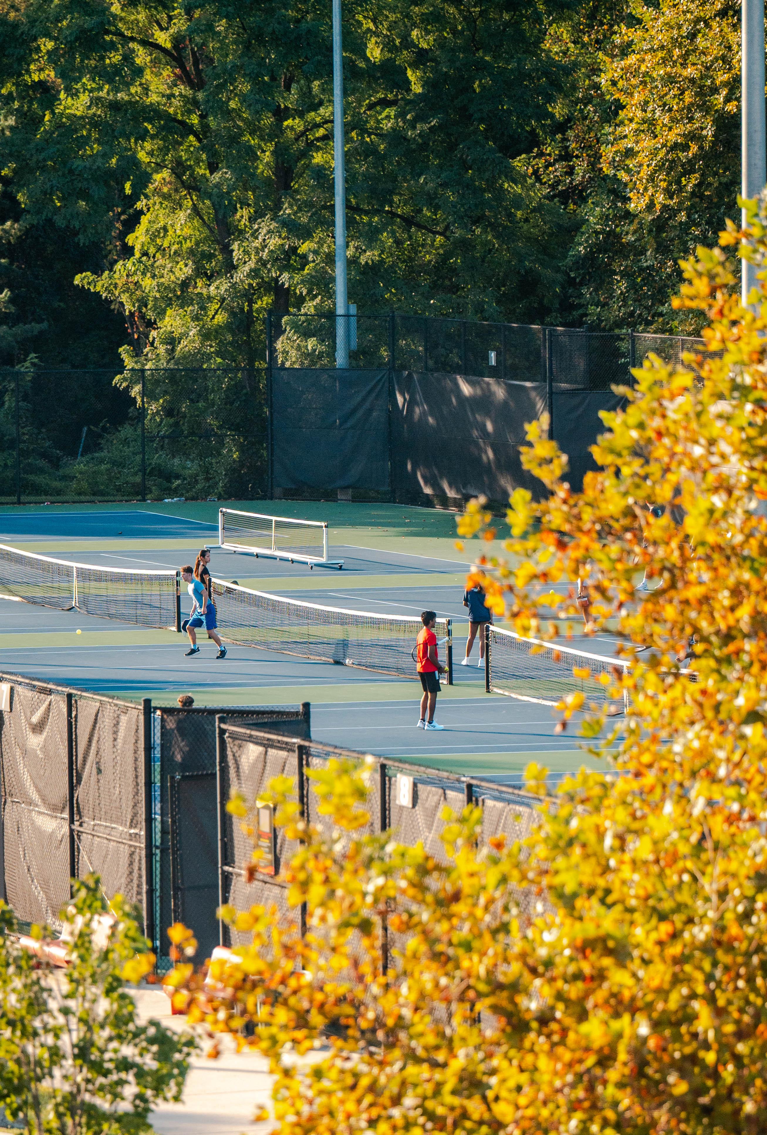 tennis fall foliage