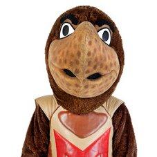 Portrait of Sean Martin